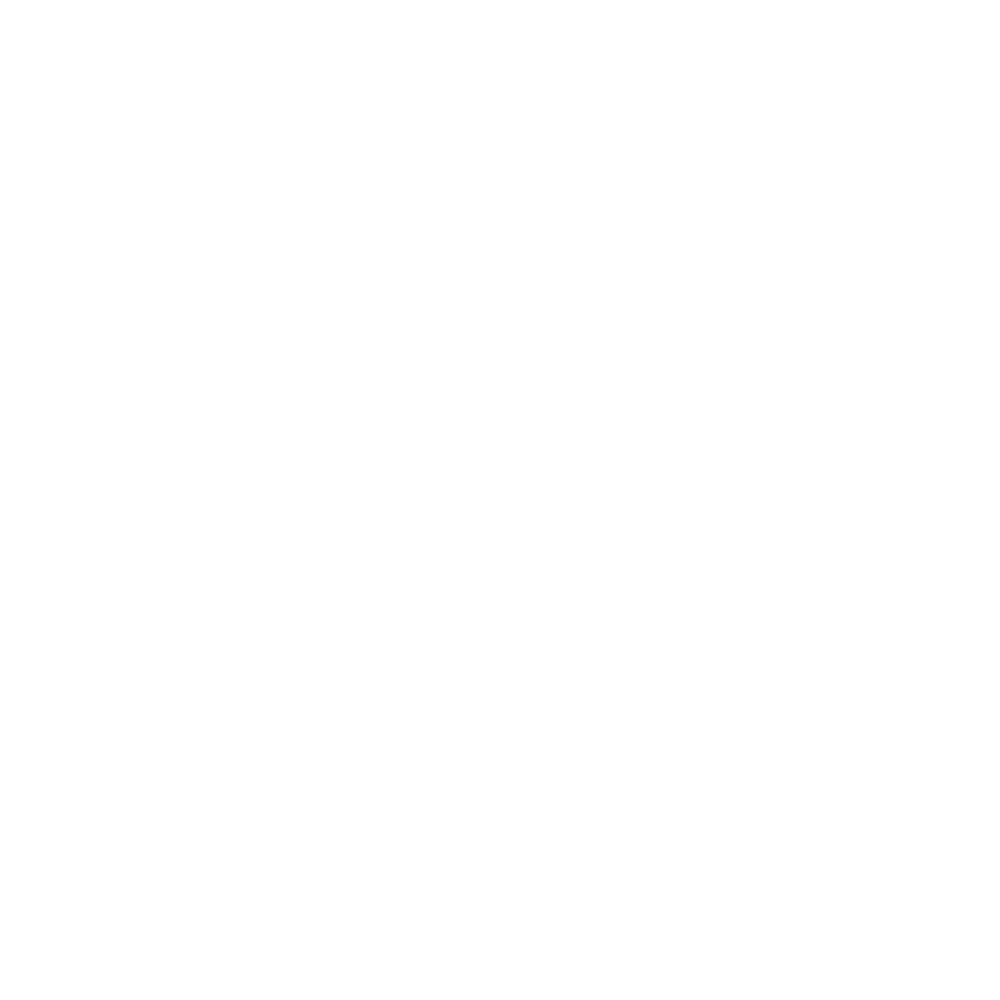 lily so logo